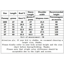 Load image into Gallery viewer, V-TREE Cute Baby Girl Dresses Floral Printed Toddler Kid Long-sleeved Dress Children Clothing