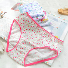 Load image into Gallery viewer, 12Pc/Lot  Baby Girls Underwear Cotton Panties Kids Short Briefs Children Underpants 2-12Y
